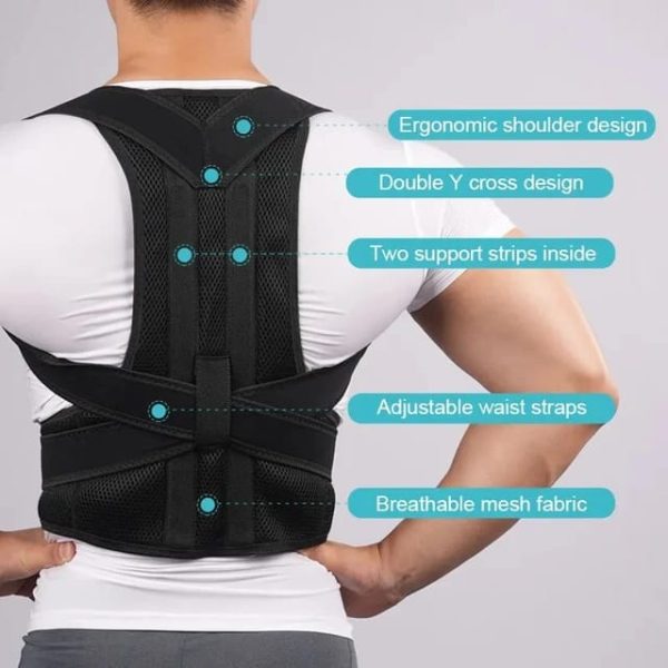 Back Posturm Spine Support Belt
